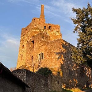Burg Hermannstein - Rittersaal